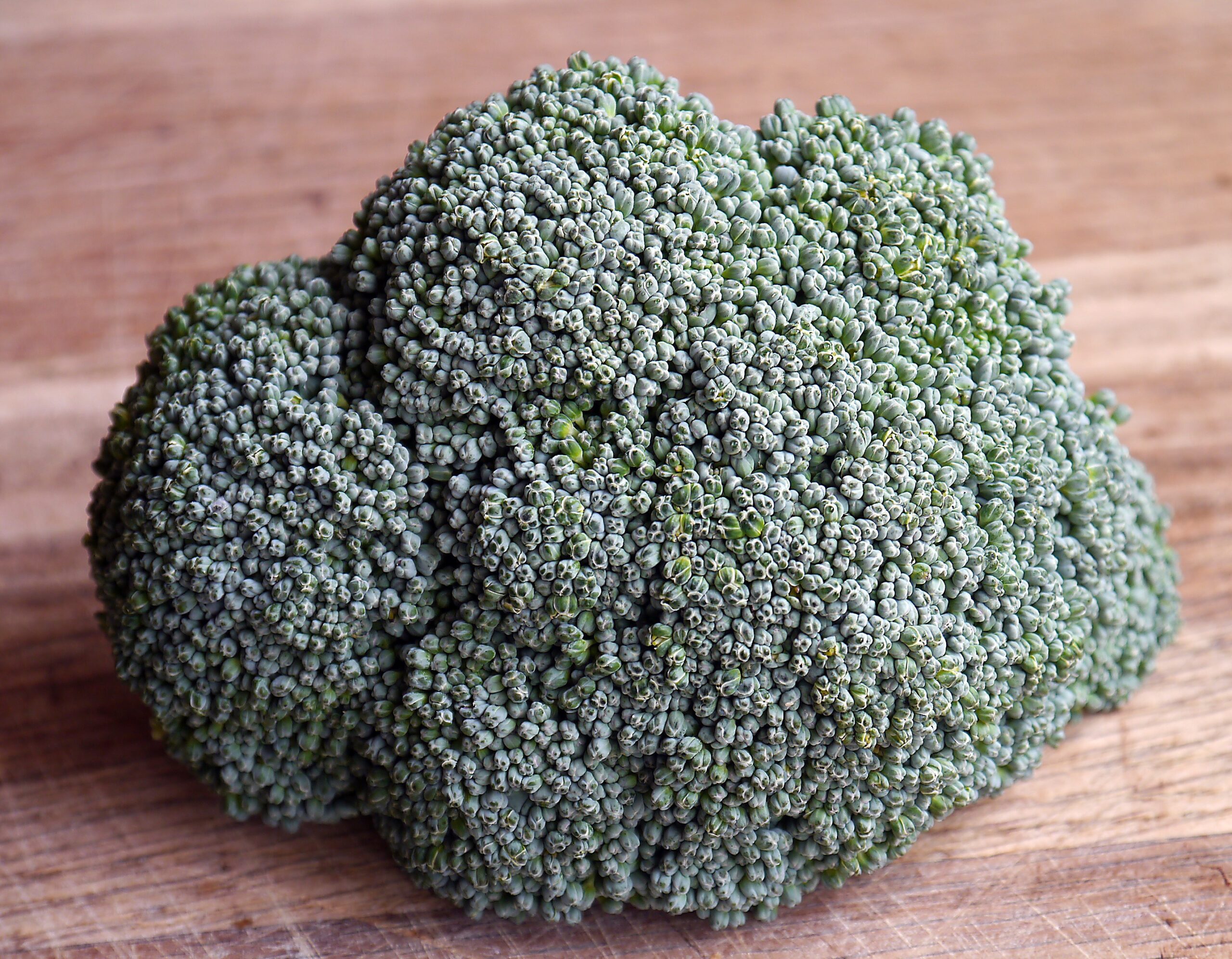 Brocoli