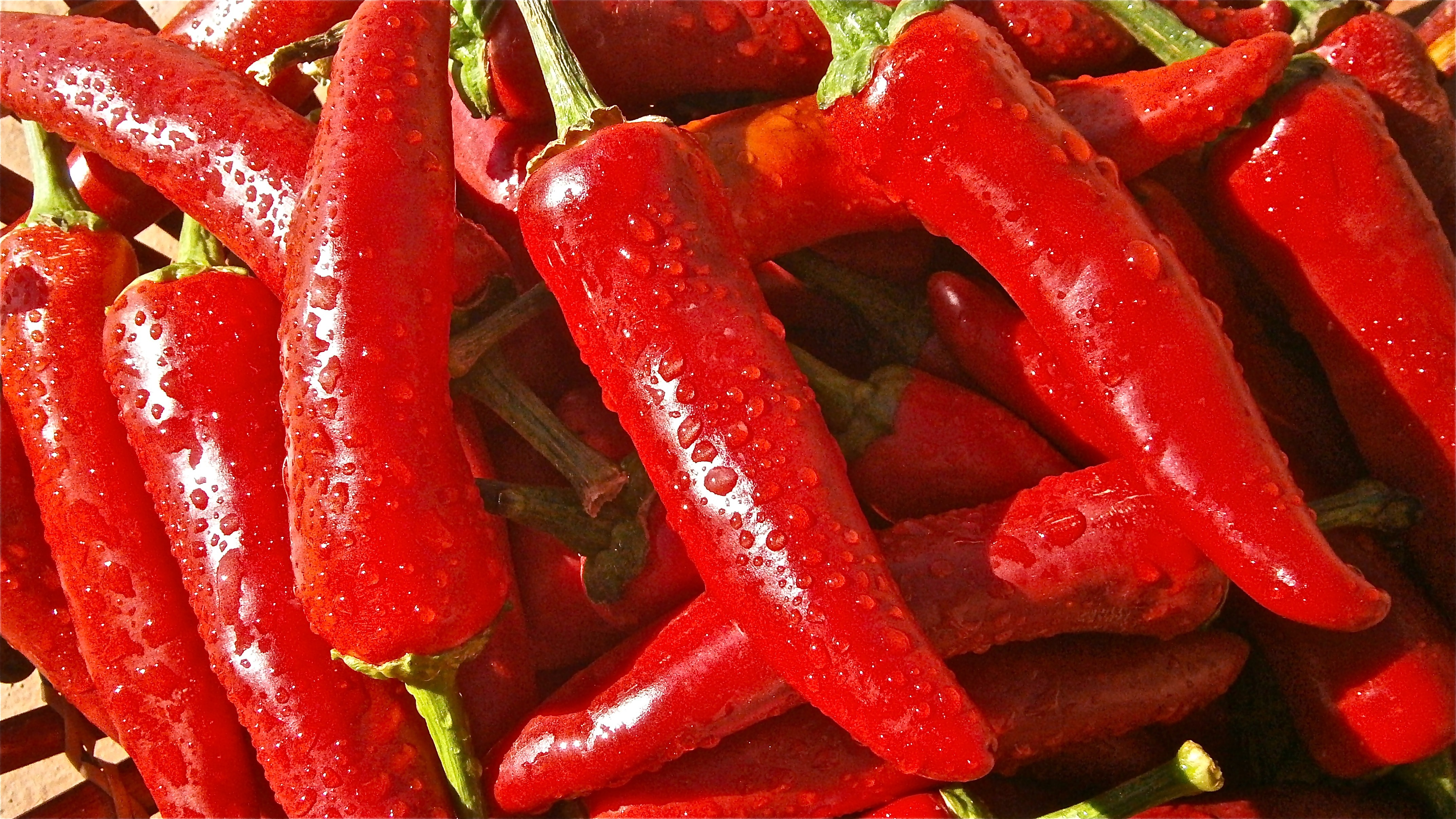 Piment chili