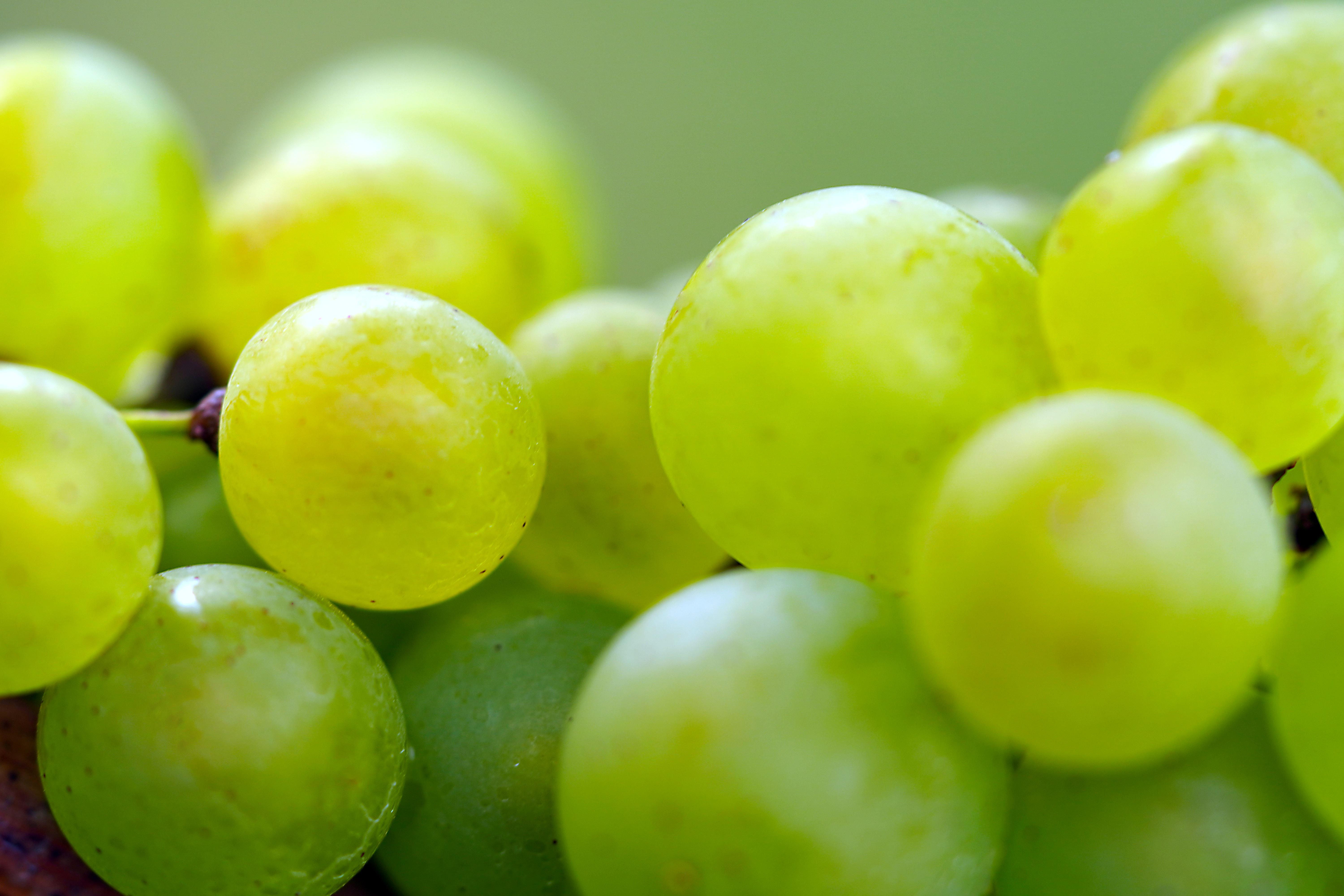 Raisin vert