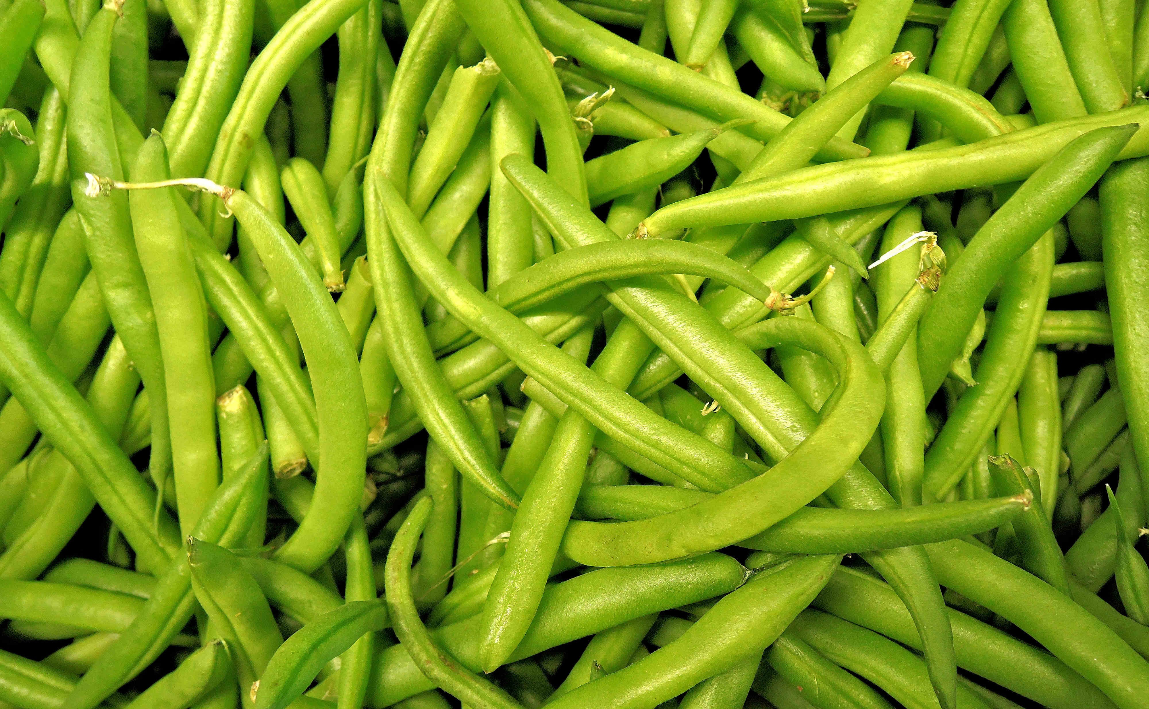 Haricot vert
