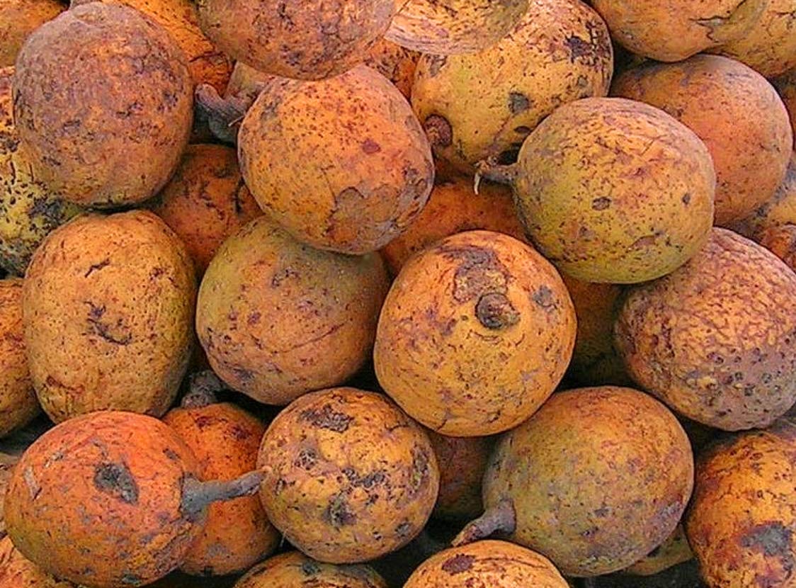 Zaba