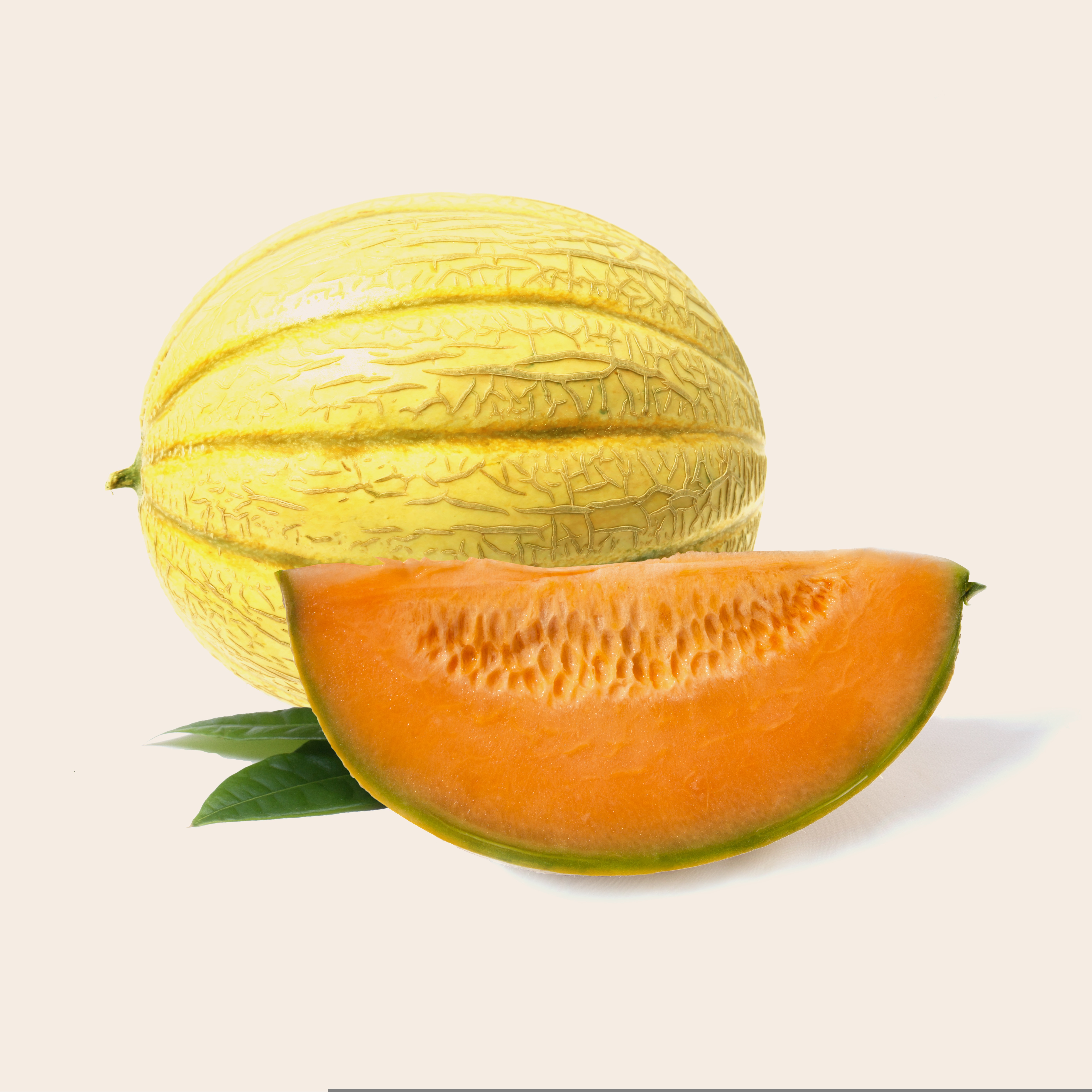 Melon