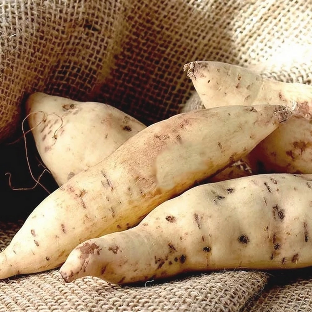Patates Douces