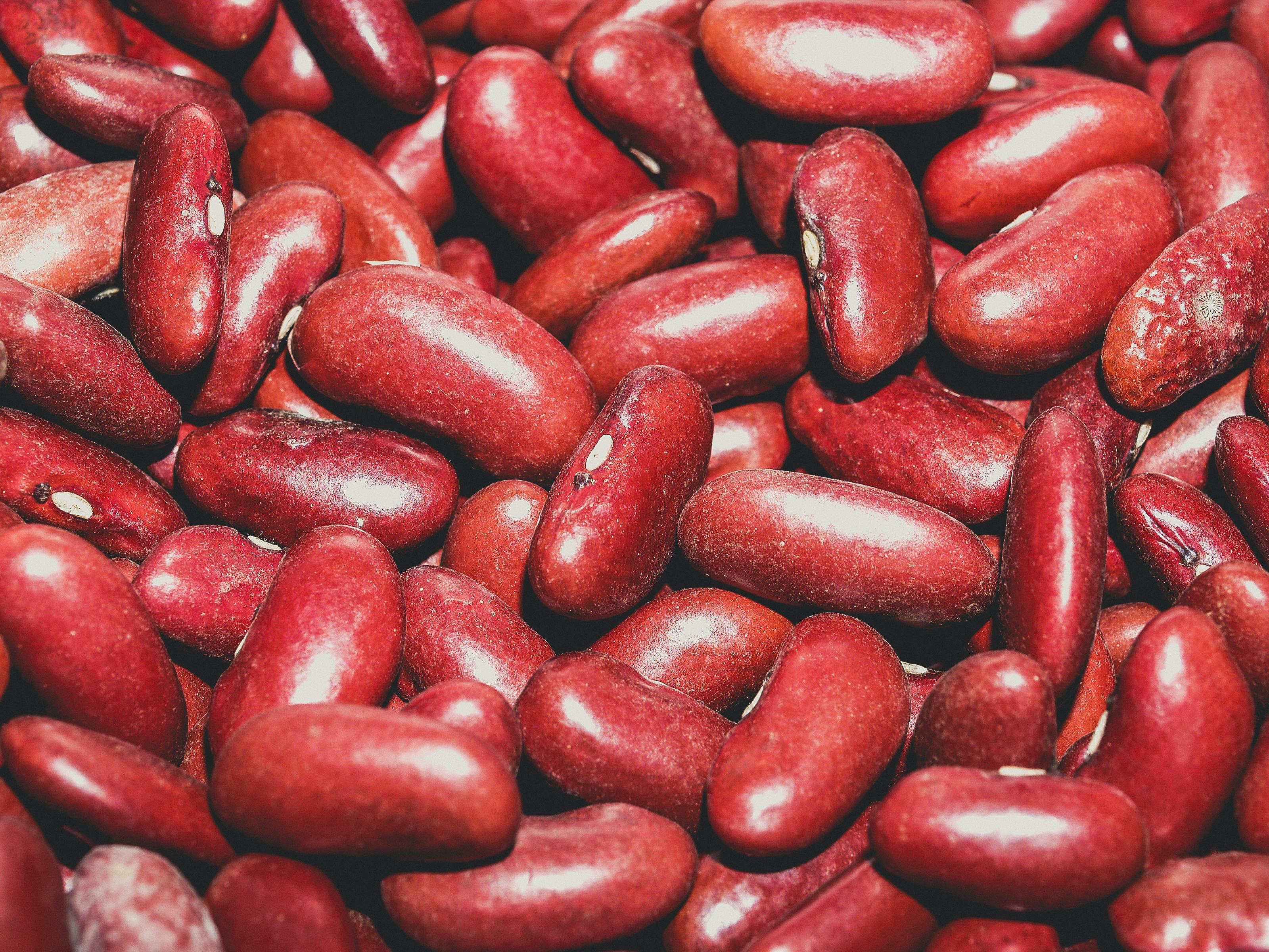 Haricot Rouge